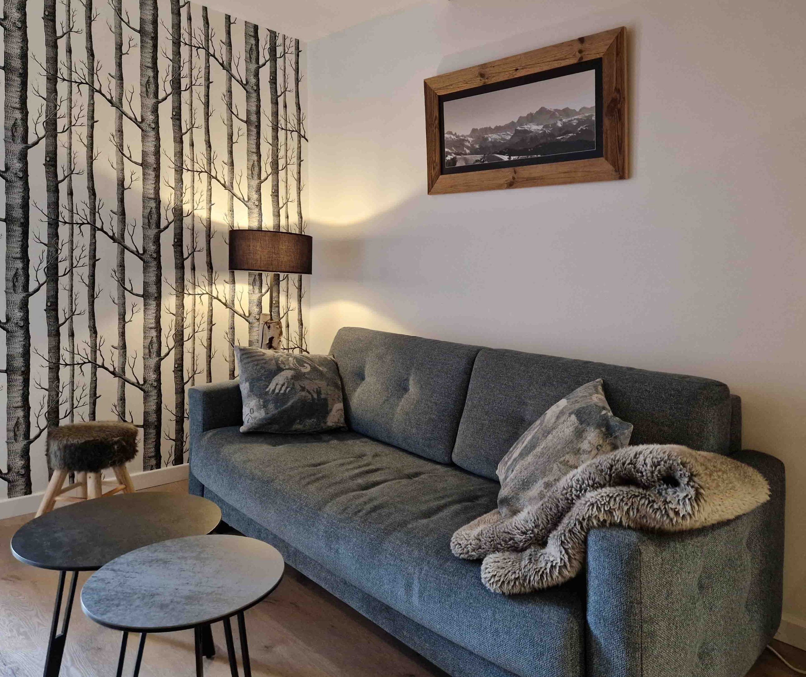 Cadre Vieux Bois Les Gets